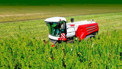 Forage harvester Rostselmash RSM F 2450 HEMP