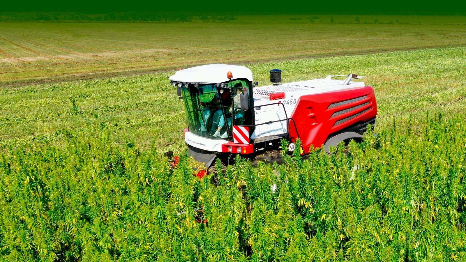 Forage harvester Rostselmash RSM F 2450 HEMP