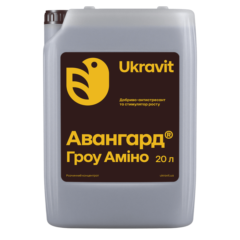 Авангард Гроу Аміно