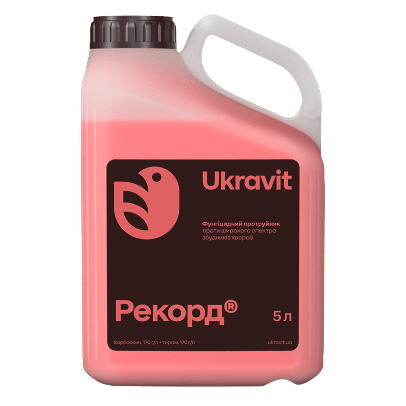 Рекорд