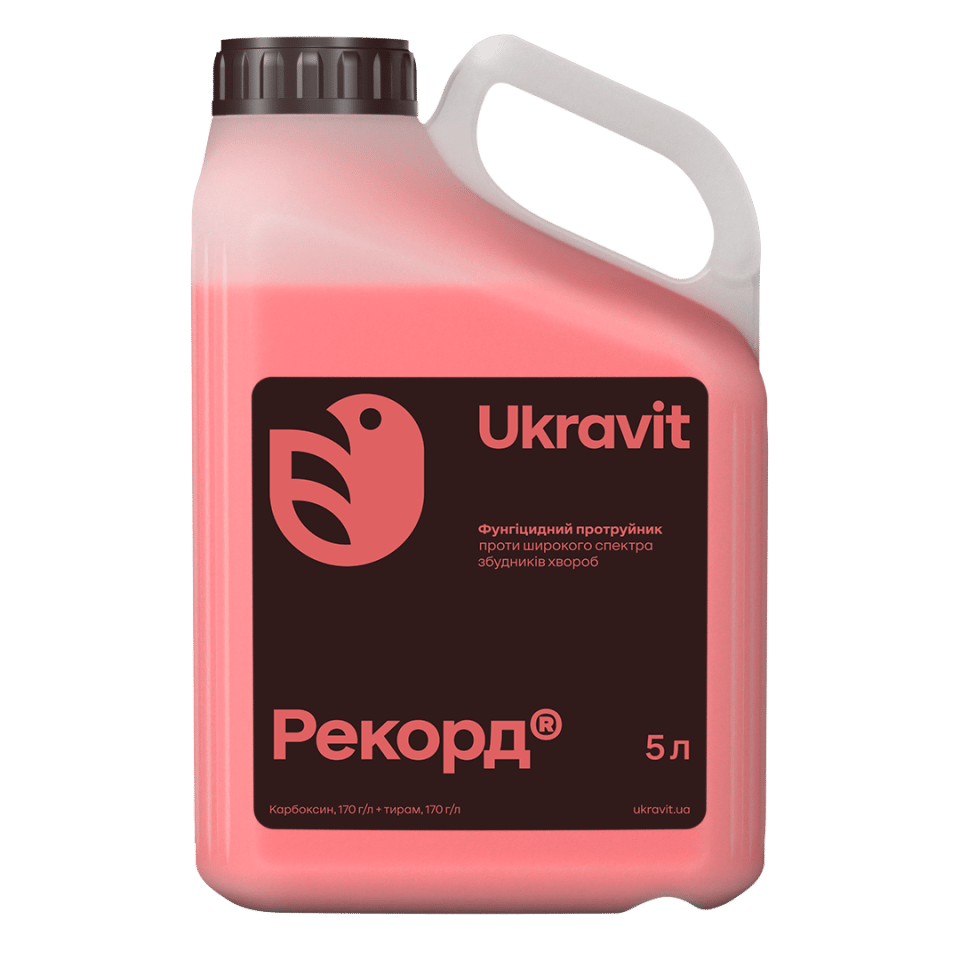 Рекорд