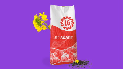 LG Adapt Winter Rapeseed