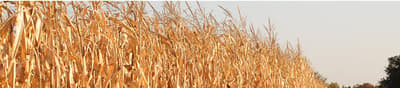Pioneer P0710 AQ
