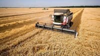 Harvesting services. Combine services. Combine rental — image 1