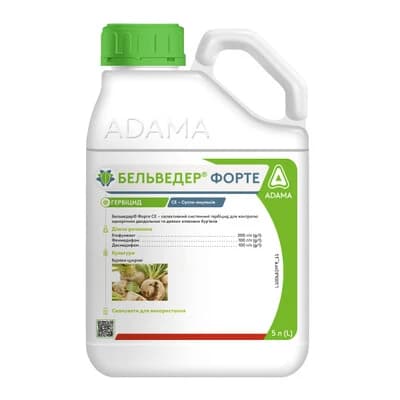 Бельведер Форте