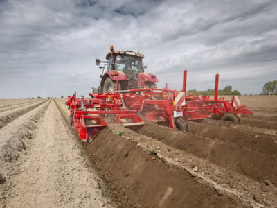Potato ridger GRIMME GH 6