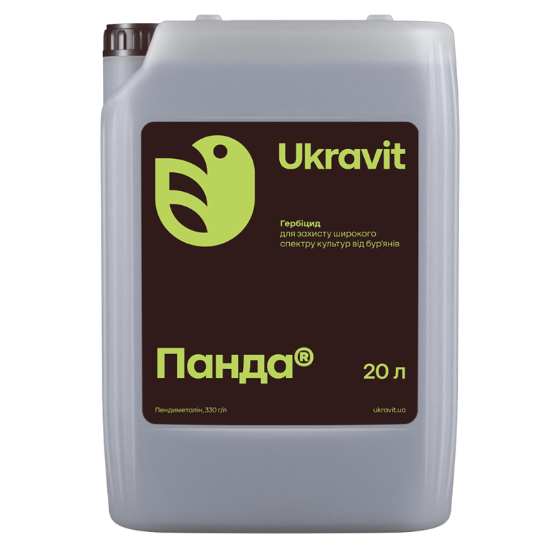 Панда