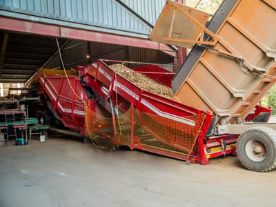Potato conveyor GRIMME TH 824