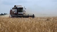 Harvesting services. Combine services. Combine rental — image 5