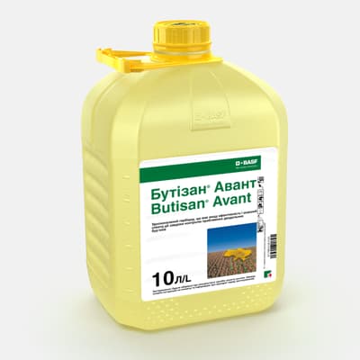 Butisan Avant