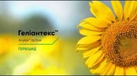 Геліантекс — зображення 4