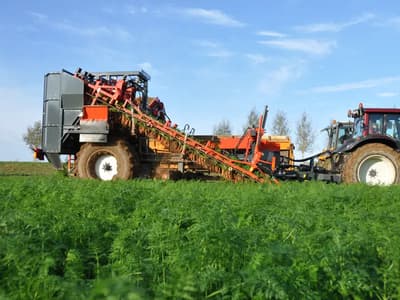 Beet harvester Dewulf GKIIS