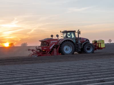Potato planter GRIMME GL 420 Exacta