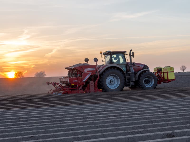 Potato planter GRIMME GL 420 Exacta