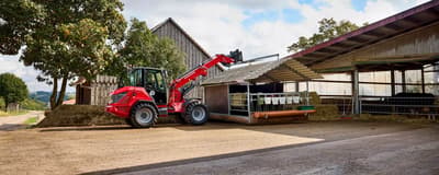 Wheel loader Weidemann 4060T