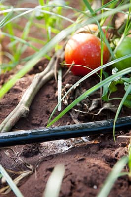 Drip irrigation system Irrifrance DRIPLI