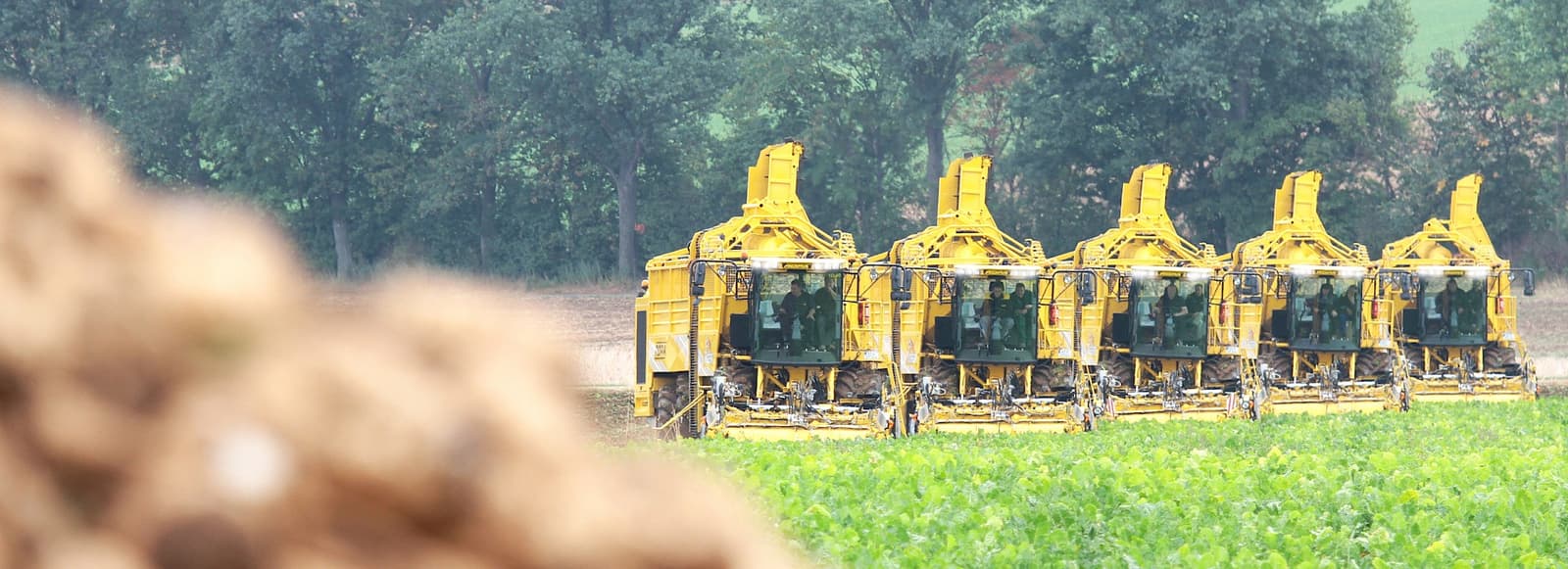 Beet harvester ROPA euro-Tiger V8-4