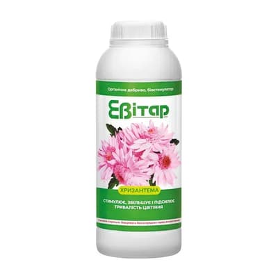 Evitar Chrysanthemum