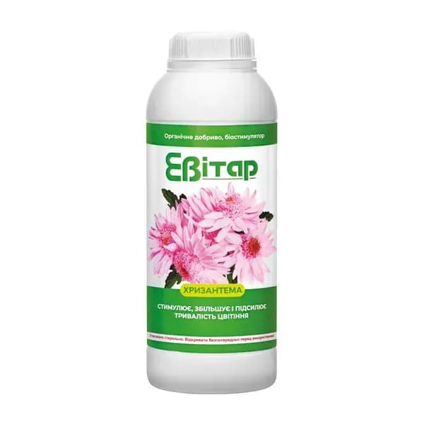 Евитар Хризантема