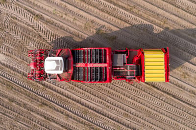 Potato harvester GRIMME VENTOR 4150