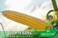 Sweet corn Daenerys F1, ultra-early — image 7