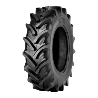 GTK шина 420/85R34 (16,9R34) 142A8/139B RS200 TL — зображення 1