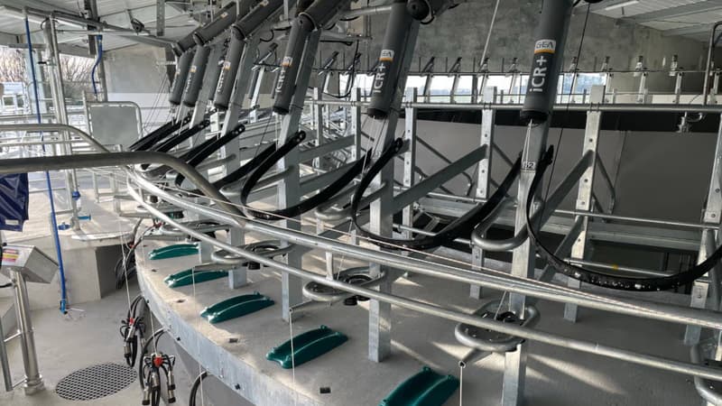 Обладнання доїльного залу GEA DairyRotor T8500