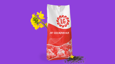 LG Cecilia CL Winter Rapeseed