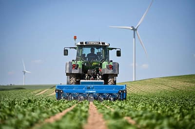 Inter-row cultivator LEMKEN IC-Weeder AI
