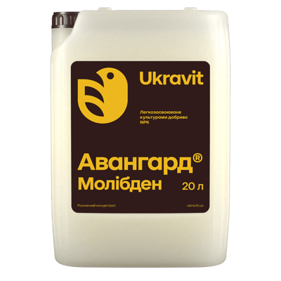 Avangard Molybdenum