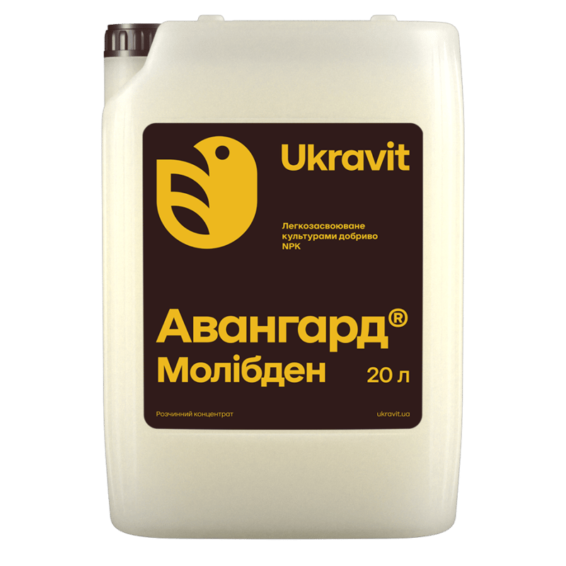 Авангард Молібден