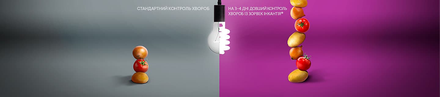 Зорвек Інкантія