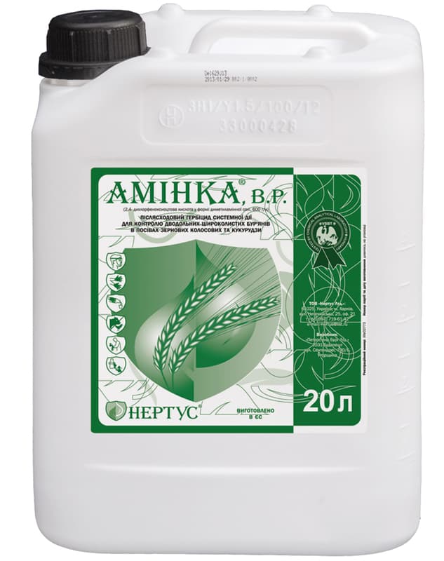 Амінка