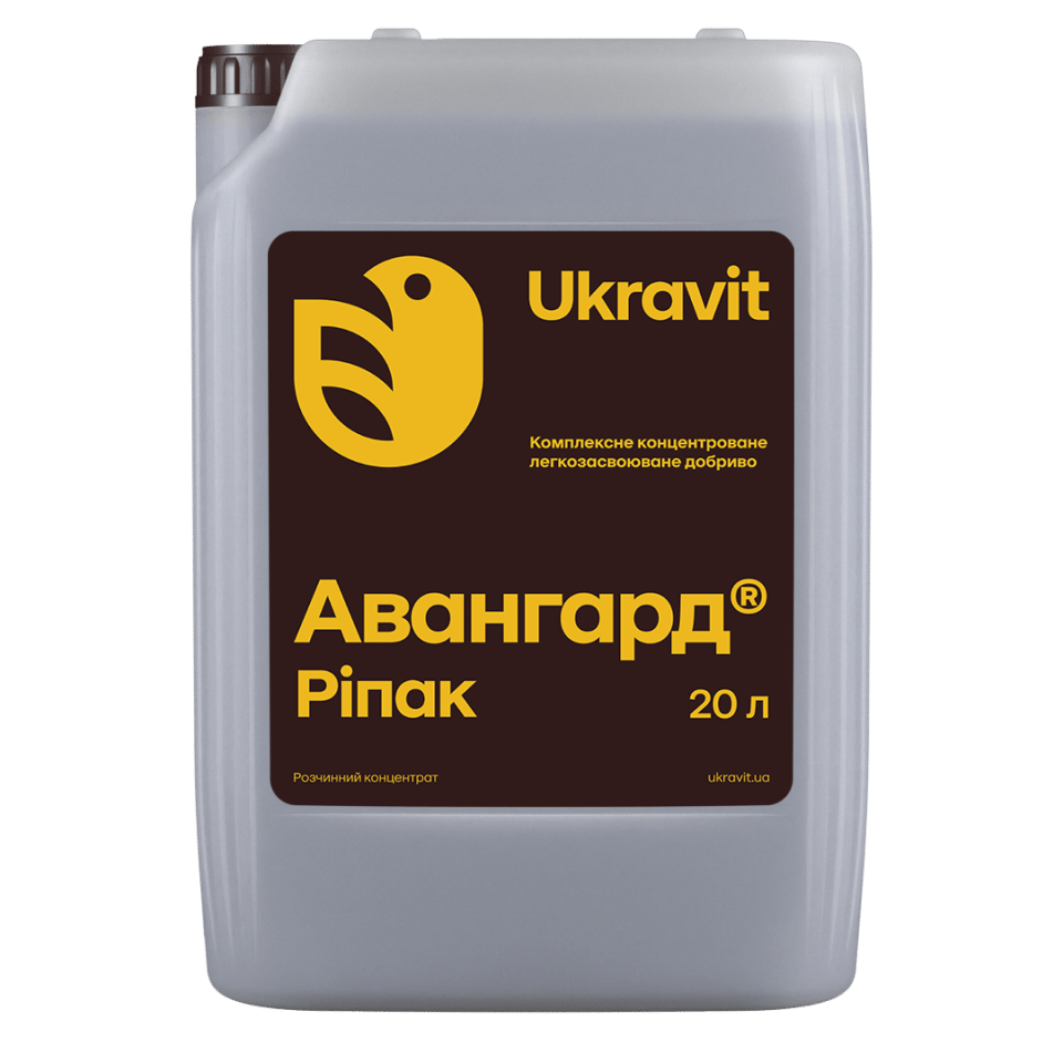 Авангард Комплекс Рапс