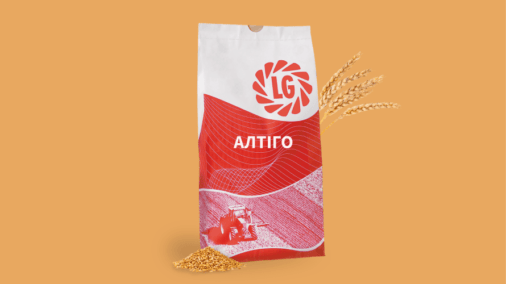 ЛГ Алтіго, озима пшениця