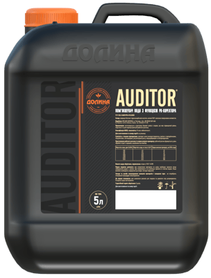 AUDITOR®