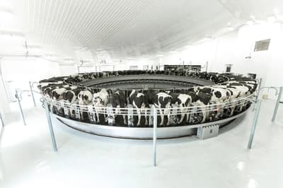 Parlor equipment DeLaval PR3100HD