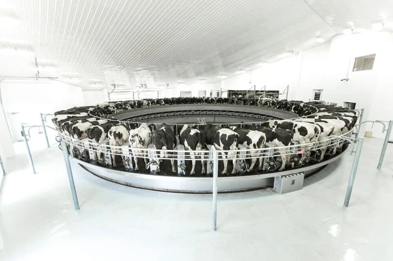 Обладнання доїльного залу DeLaval PR3100HD