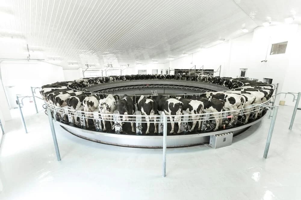 Обладнання доїльного залу DeLaval PR3100HD