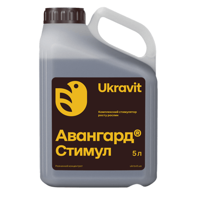 Avangard Stimul