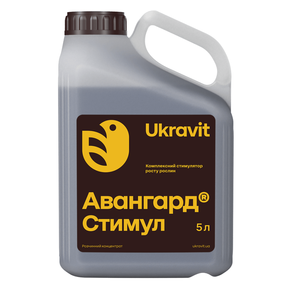 Авангард Стимул