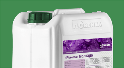 Florenta Molybdenum