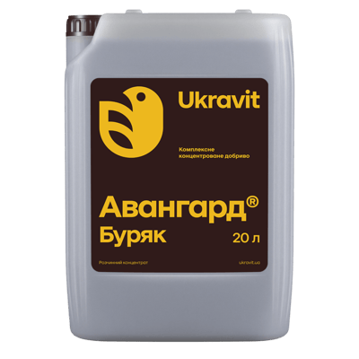 Avangard Complex Beet