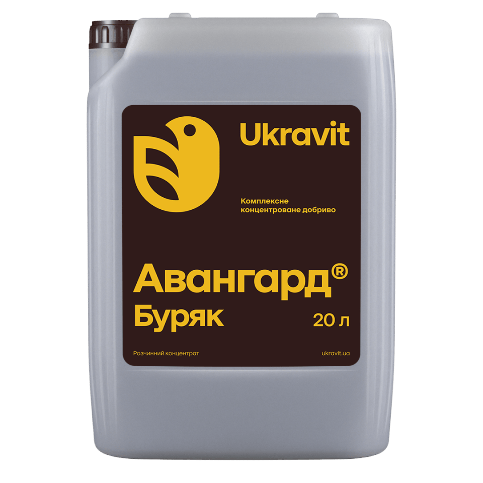 Авангард Комплекс Свекла