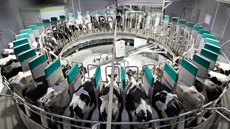 Обладнання доїльного залу GEA DairyProQ