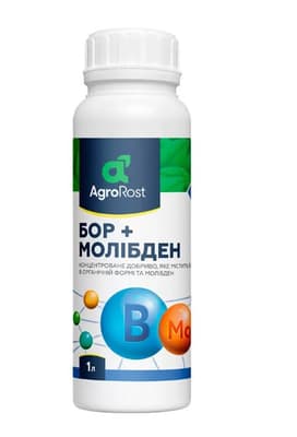 Добриво Бор з молібденом АгроРост