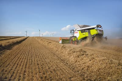 Combine harvester CLAAS TRION 650 SKD
