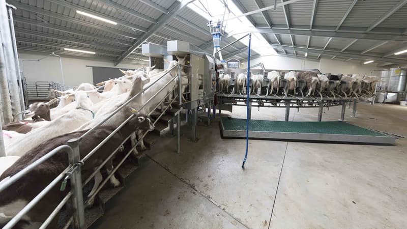 Parlor equipment GEA SR External