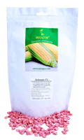 Sweet corn Daenerys F1, ultra-early — image 1