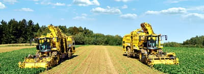 Beet harvester ROPA Panther